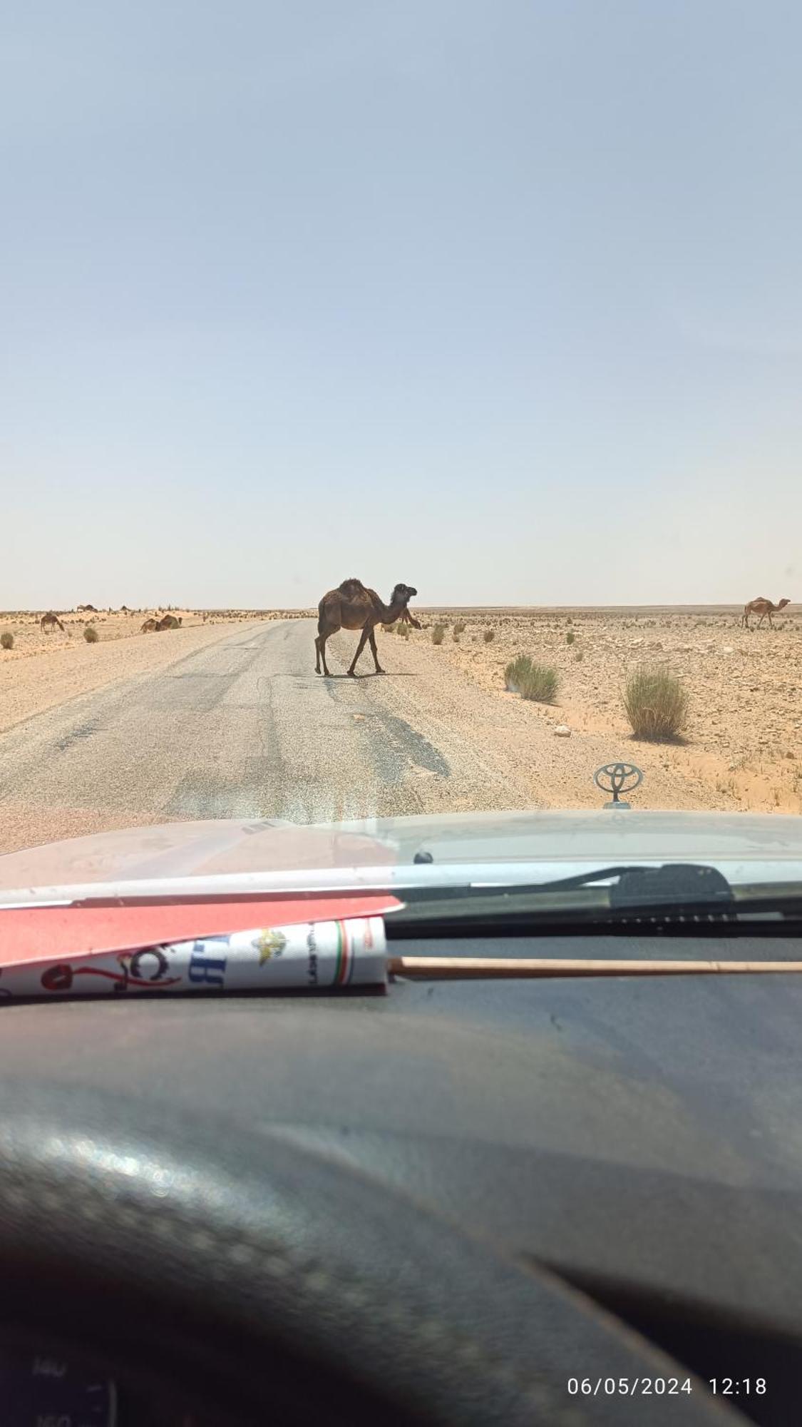 Al Haddadah Dar Lagune Djerba Vue De Mer מראה חיצוני תמונה
