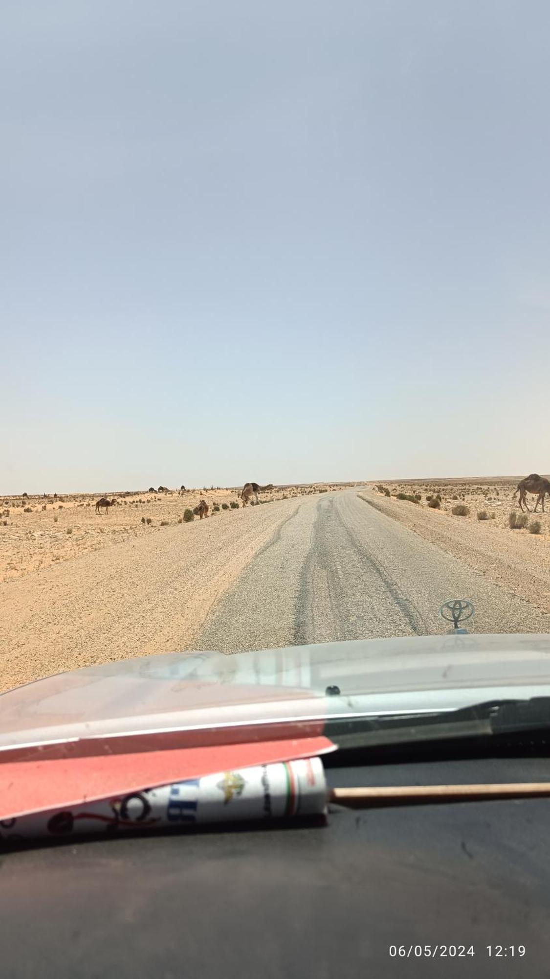 Al Haddadah Dar Lagune Djerba Vue De Mer מראה חיצוני תמונה