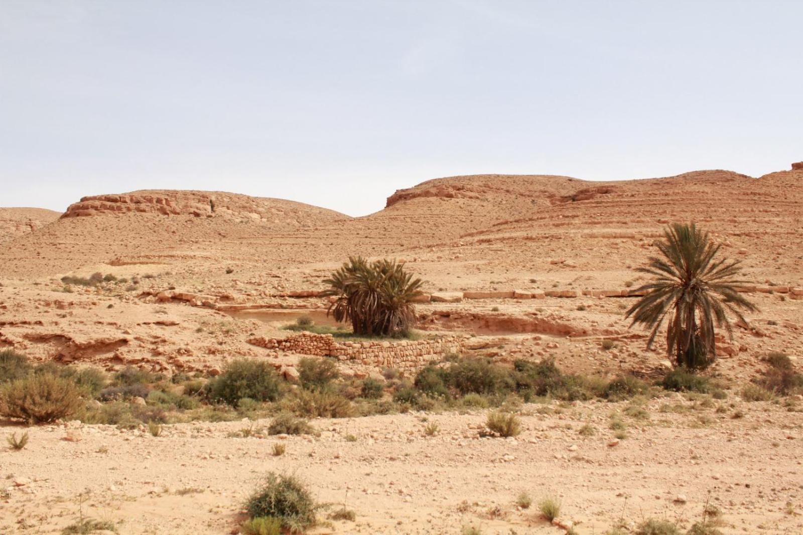 Al Haddadah Dar Lagune Djerba Vue De Mer מראה חיצוני תמונה