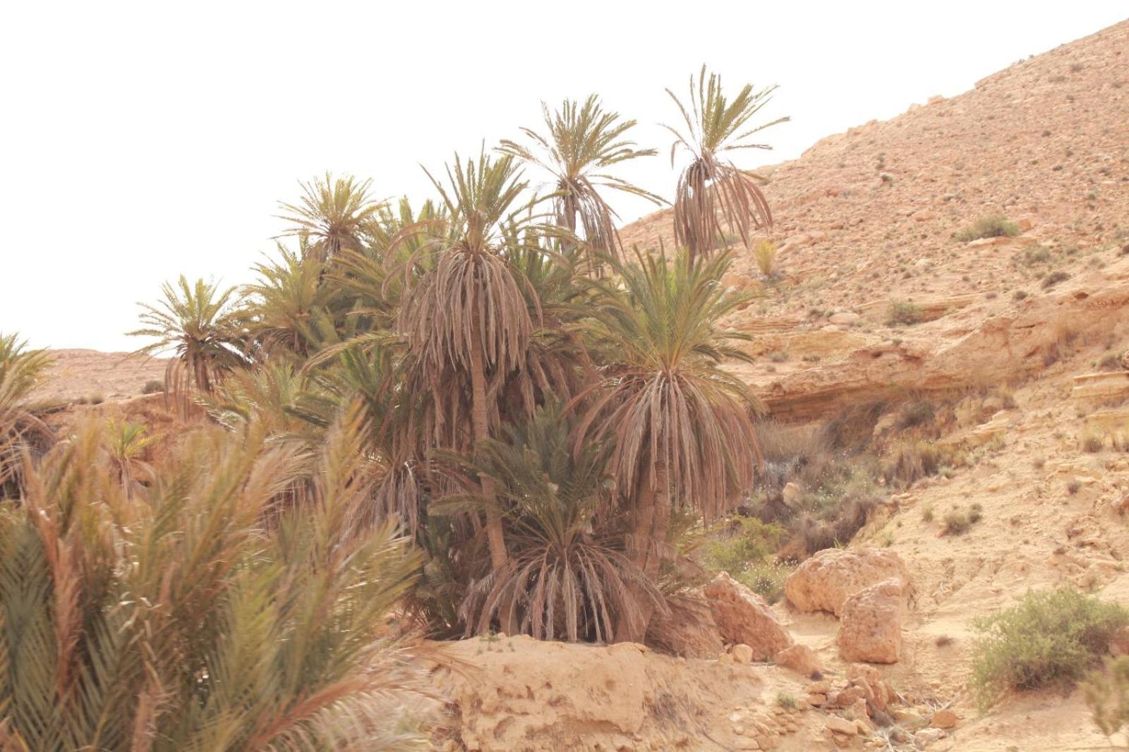 Al Haddadah Dar Lagune Djerba Vue De Mer מראה חיצוני תמונה